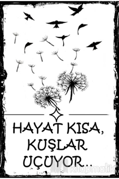 Melisa Poster Hayat Kisa Kuslar Ucuyor Poster Fiyati Yorumlari Trendyol