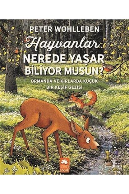 trendyol