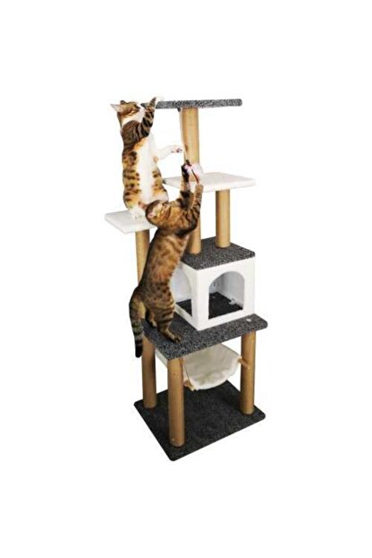 pethome kedi tirmalama 140cm fiyati yorumlari trendyol