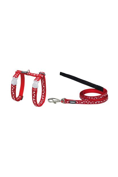 Reddingo Beyaz Benekli Kedi Gogus Tasma Ve Uzatma Seti Kirmizi 12 Mm Trendyol