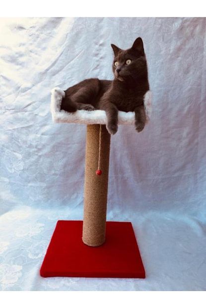 Dumanpet Duman Pet Kedi Tirmalama Tahtasi 62x35x35cm Yatakli T 3 Kirmizi Trendyol