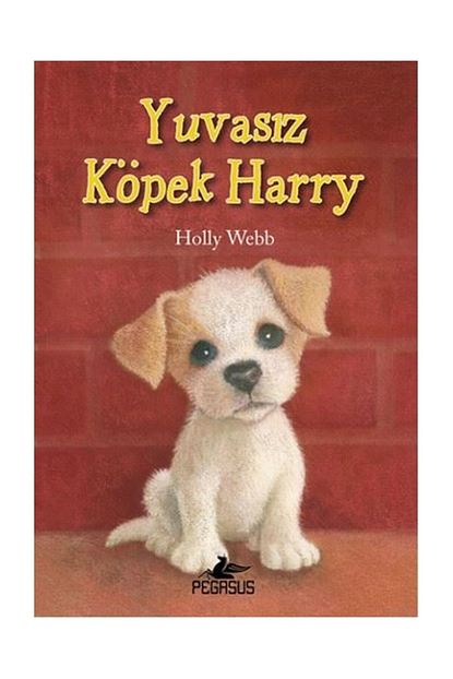 Pegasus Yayinlari Yuvasiz Kopek Harry Holly Webb Trendyol