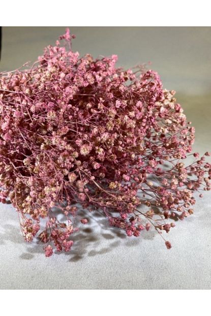 By Sensaray Pembe Renkli Soklanmis Cipso Kuru Cicek 50 Gr Trendyol