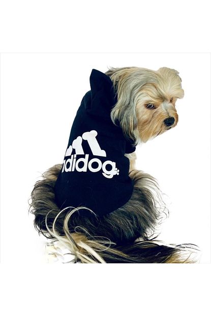 Kemique Koyu Lacivert Adidog Kapsonlu Kopek Sweatshirt Kopek Kazagi Trendyol