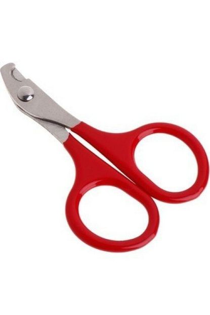 Lion Pet Equipment Kedi Tirnak Makasi Kucuk Boy Trendyol
