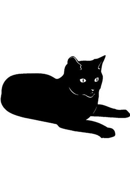 yatan kedi sticker
