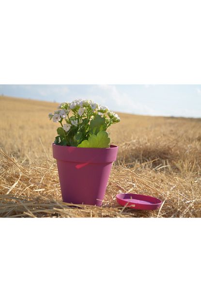 Ekodoga Yali Saksi 1 7 Lt 1 Adet Visne Saksi Renkli Saksi Plastik Saksi Cicek Saksisi Tabakli Saksi Trendyol