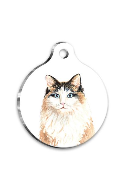 Dalis Suluboya 2 Yuvarlak Kedi Kunyesi Trendyol