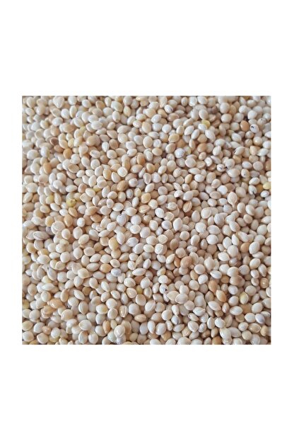 woddy muhabbet kusu yemi sade ak dari 1 kg fiyati yorumlari trendyol