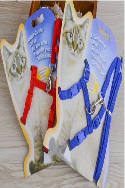 Epazzar Kedi Tasmasi 120 Cm Ayarlanabilir Boy 4 Renk Trendyol