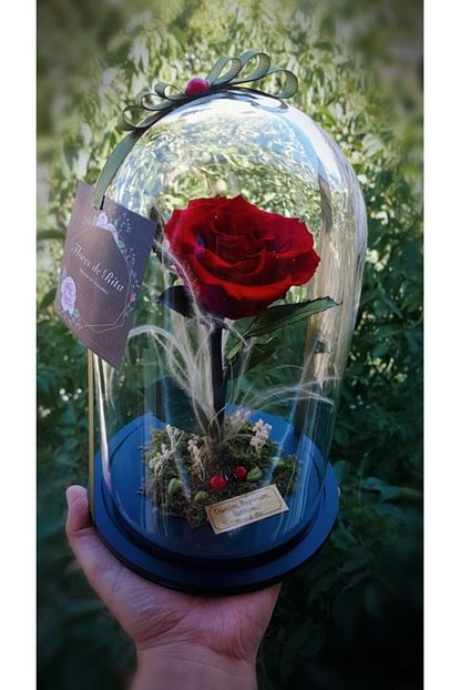 Flores De Rita Cam Fanusta Solmayan Gul Trendyol