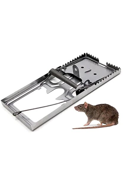 besel fare tuzagi yayli fare kapani 8x17 cm fiyati yorumlari trendyol