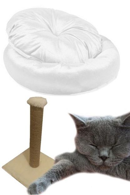 pet style kedi tirmalama tahtasi ve