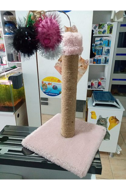 Baylanpet Kedi Tirmalama Cubugu Trendyol