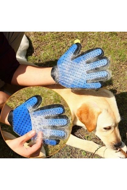 Lion Pet Equipment Kedi Kopek Tuy Toplama Eldiveni Mavi Trendyol
