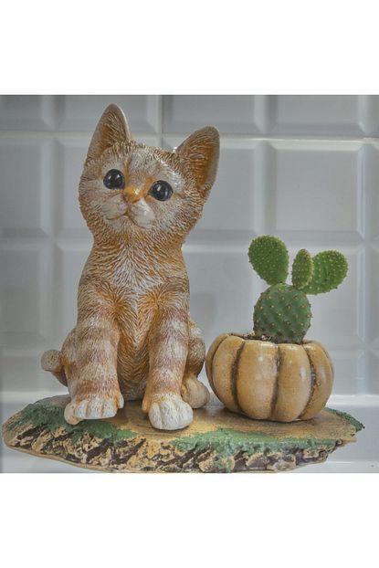 Eylul Sukulent Saksi 3d Dekoratif Kedi Ve Kabak Modelli Canli Sukulent Ile Birlikte Trendyol