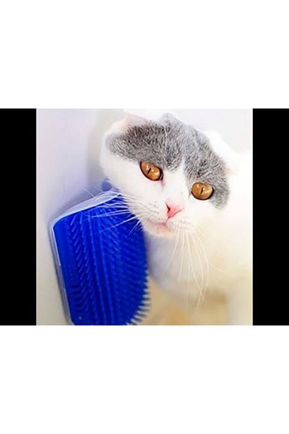 Unissalescentral Kedi Evcil Hayvan Kasima Masaj Fircasi Cat It Tuy Toplayici Trendyol