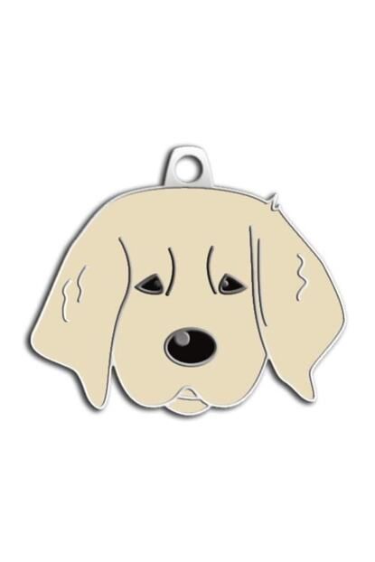 Dalis Pet Tag Yavru Golden Kopek Kunyesi Trendyol