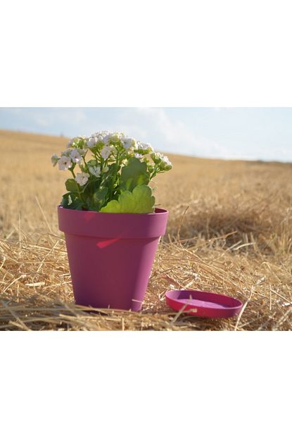 Ekodoga Yali Saksi 1 7 Lt 4 Adet Visne Saksi Renkli Saksi Plastik Saksi Cicek Saksisi Tabakli Saksi Trendyol