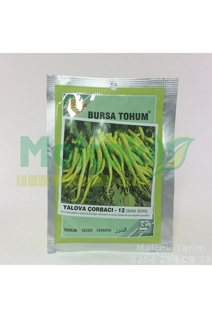 Bursa Tohumculuk Bursa Tohum Yalova Corbaci Sari Sivri Biber 10gr Trendyol