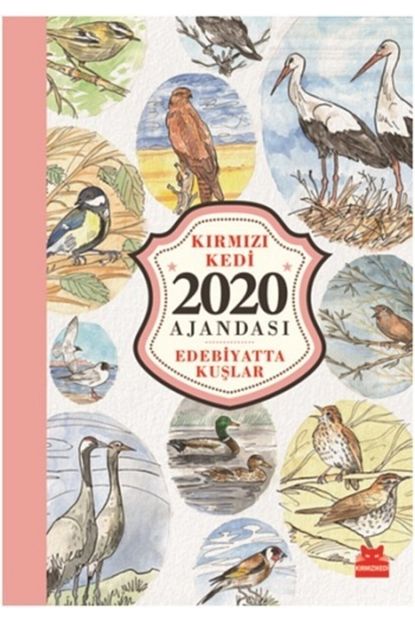 Kirmizi Kedi Yayinevi Kedili Ajanda 2020 Edebiyatta Kuslar Trendyol