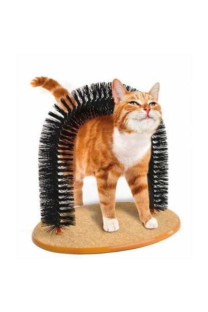 Ankaflex Purrfect Arch Yavru Kedi Bakimi Tirmalama Ve Kasinma Fircasi Ve Tahtasi Trendyol