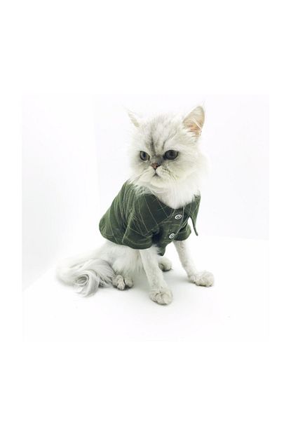 Kemique Army Shine Polo Yaka Tisort Kedi Kiyafeti Kedi Elbisesi 2xlarge 5 5 7 Kg Trendyol