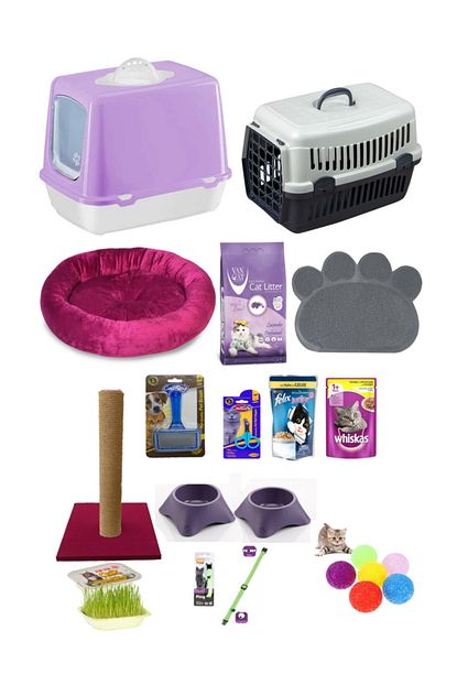Cinar Kedi Baslangic 15 Li Paket Trendyol