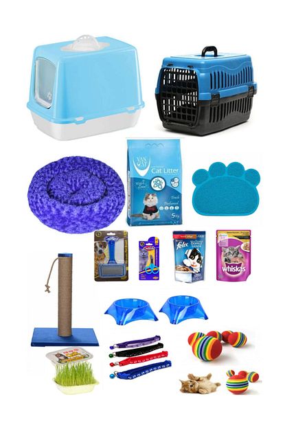 Cinar Dizayn Kedi Baslangic 15 Li Paket Trendyol