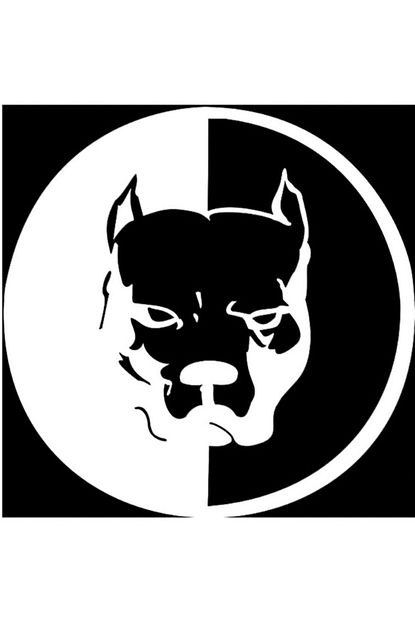pitbull logo otomobil sticker beyaz renk etiket 13 5 cm cs053
