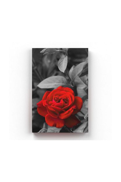 Shop365 Kirmizi Gul Tablo Kanvas Tabl 50 X 75 Cm Tb 4815 Trendyol