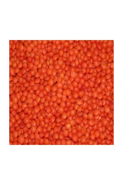 Aksa Yerli Kirmizi Mercimek 5kg Trendyol