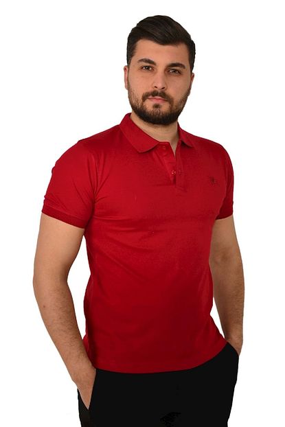 Teqne Teqne Man Polo Yaka Duz Erkek Tisort Bordo S Trendyol