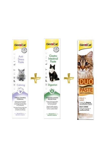 Gimcat Anti Stress Paste 50gr Gastro Intestinal Paste Sindirim Duo Paste Peynirli Malt Kedi Macunu 50gr Trendyol