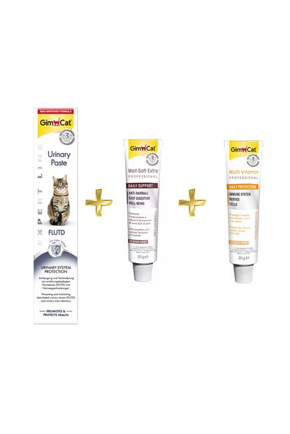 Gimcat Urinary Paste Kedi Macunu 50 Gr Antihairball Malt Paste 20 Gr Multivitamin Paste 20 Gr Trendyol