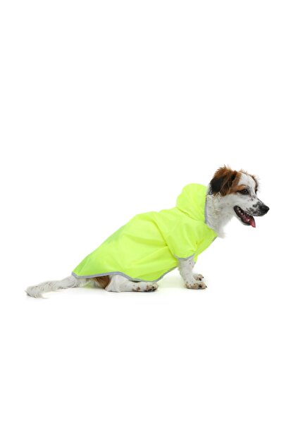 Dogi Dog Neon Sari Kedi Kopek Yagmurlugu 3 6 Kg 5 5 Kg Sirt Olcusu 30 Cm Trendyol