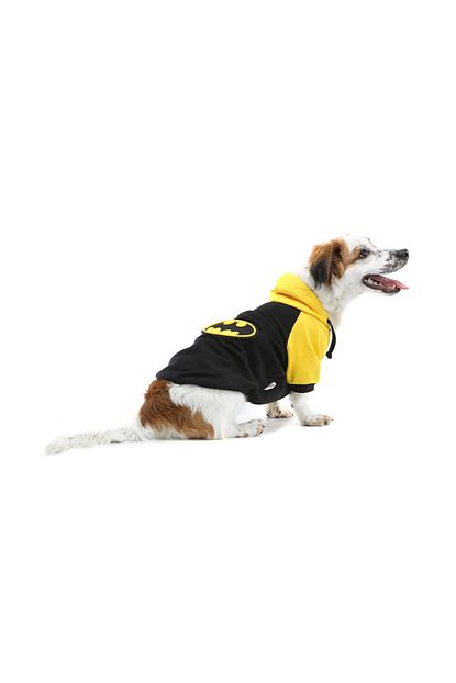 Dogi Dog Kucuk Irk Batman Kedi Kopek Sweati M Beden 1 6 Kg 3 5 Kg Sirt Olcusu 25 Cm Trendyol