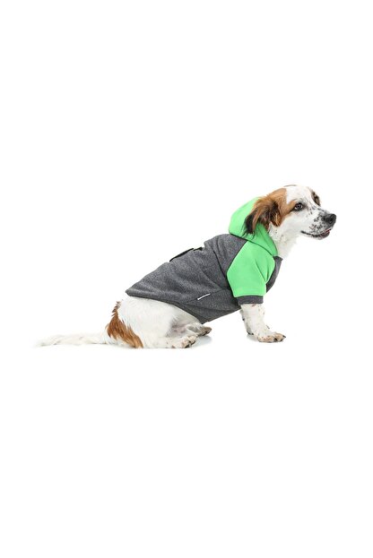 Dogi Dog Kucuk Irk Apple Kedi Kopek Sweati S Beden 0 5 Kg 1 5 Kg Sirt Olcusu 20 Cm Trendyol
