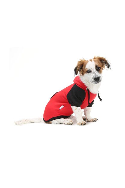Dogi Dog Kucuk Irk Pati Red Kedi Kopek Sweati 2xl Beden 7 6 Kg 10 Kg Sirt Olcusu 40 Cm Trendyol