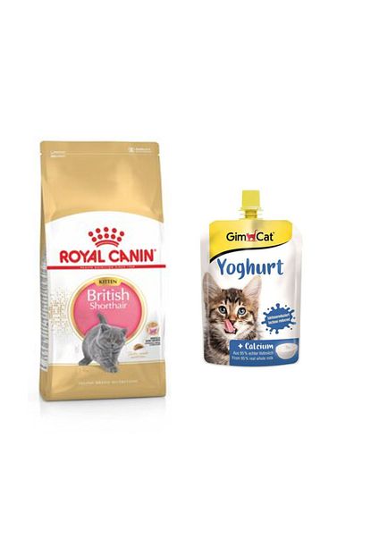 Royal Canin British Shorthair Yavru Kedi Maması