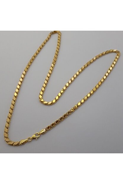 Altindolabim Altin Kaplama Arpa Zincir Gold Kadin Kolye Trendyol