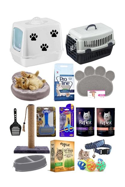 Pet Style Kedi Baslangic 15 Li Paket Trendyol