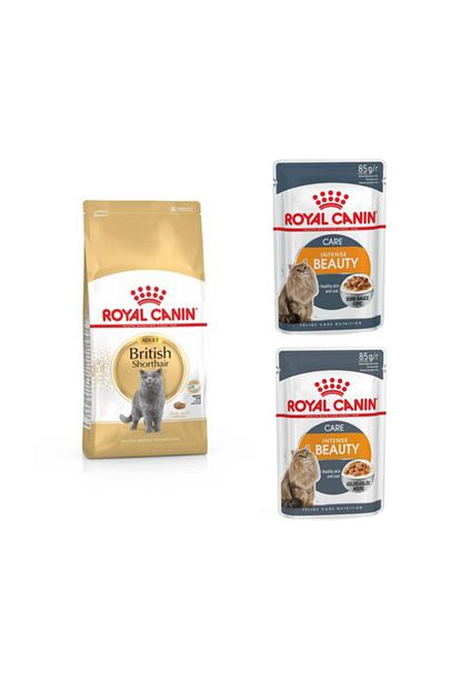 Royal Canin British Shorthair Yetiskin Kedi Mamasi 2 Kg 2 Adet Intense Beauty Yas Mama 85 Gr Trendyol