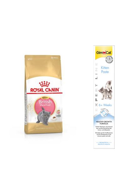 british shorthair yavru kedi mamasi 2 kg gimcat kitten paste kalsiyumlu vitamin macunu 50 gr
