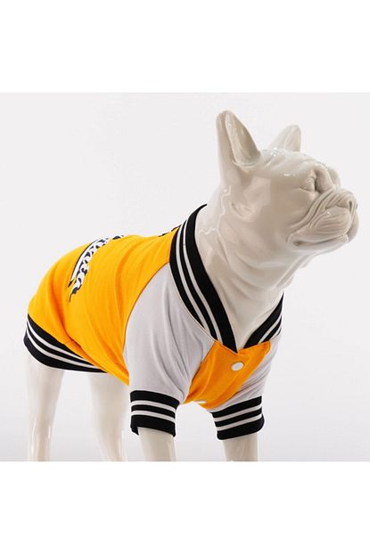Lindodogs College California Kucuk Orta Ve Buyuk Irk Kopek Sweatshirt Trendyol