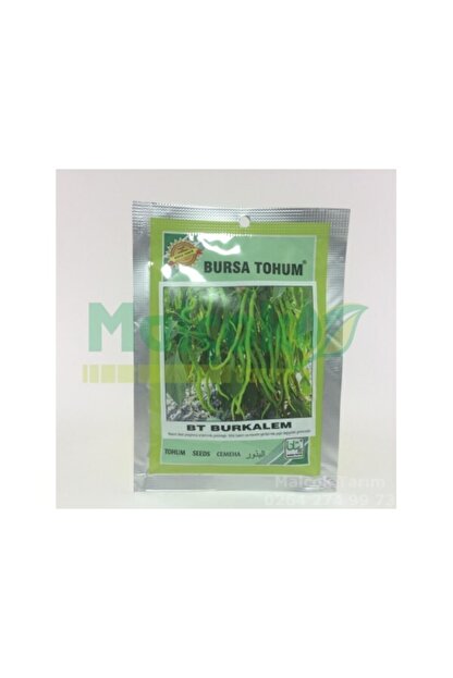 bursa tohumculuk bursa tohum bt