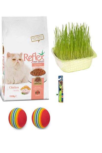 Batibalik Yavru Kedi Hos Geldin Seti Trendyol