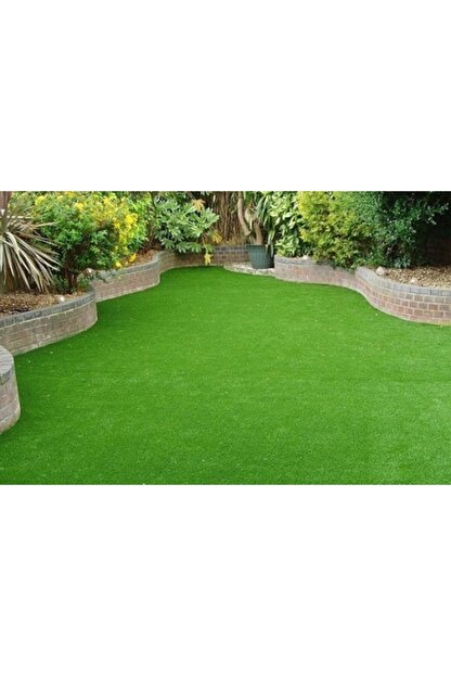 ekodoga bermuda cim tohumu 5 kg uganda cimi kopek disi ayrigi bermuda grass cim tohumu fiyati yorumlari trendyol