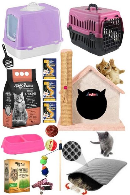 Pet Style Kedi Baslangic 15 Li Paket Trendyol