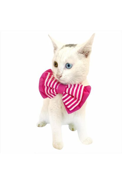 Kemique Pembe Cizgili Kedi Papyonu Trendyol